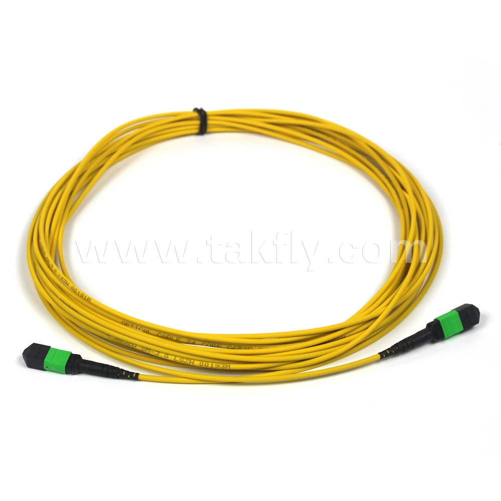 12f 24f MPO/MTP to LC Single Mode Fiber Optical Breakout Cable