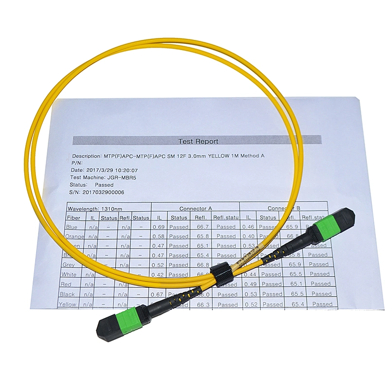 10g 40g MPO to MPO 12 24 Fibers Om4 (OM3) 50/125 Multimode Trunk Cable