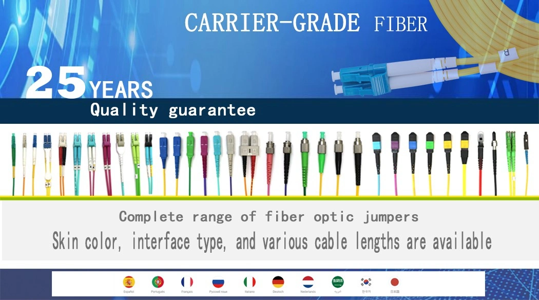 LC-LC Single-Mode Fiber/Fiber Optic Patch Cord (Regular)