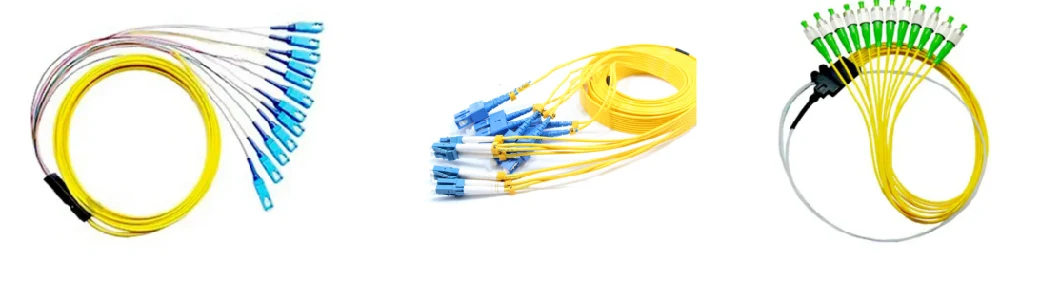 FTTH Fiber Optic Ribbon Cable Sc/LC Patch Cord 2PCS 12 Core Optic/Optical Fiber Pigtail