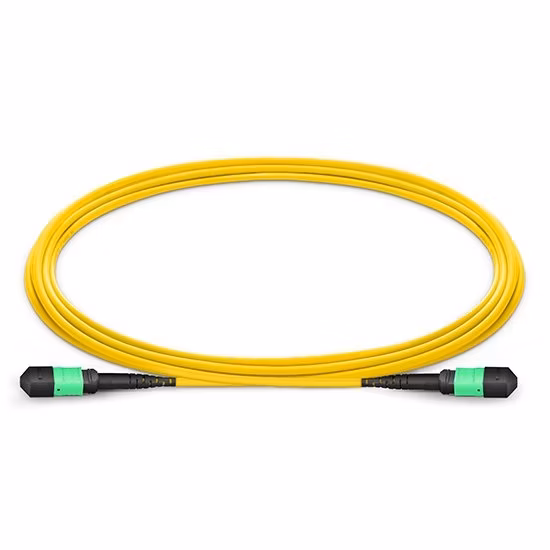 12/24 Cores MPO MTP Sm Om3 Om4 Om5 Fiber Optic MPO Fiber Cable