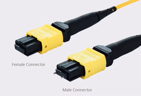 Single Mode Elite Fiber Patchcord MPO Jumper Ofnp Ofnr Trunk Optical Fiber Cable