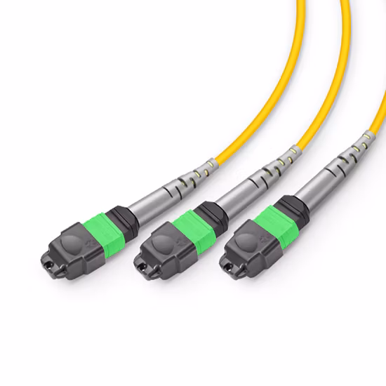 MTP Female to MTP Female Trunk Cable Assembly 12 Fibers Polarity A OM5 50/125 100G